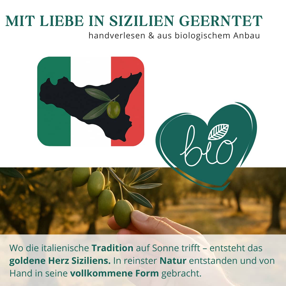 Hochwertige Inhaltsstoffe: Polyphenole, Tagesdosis, rein und naturbelassen