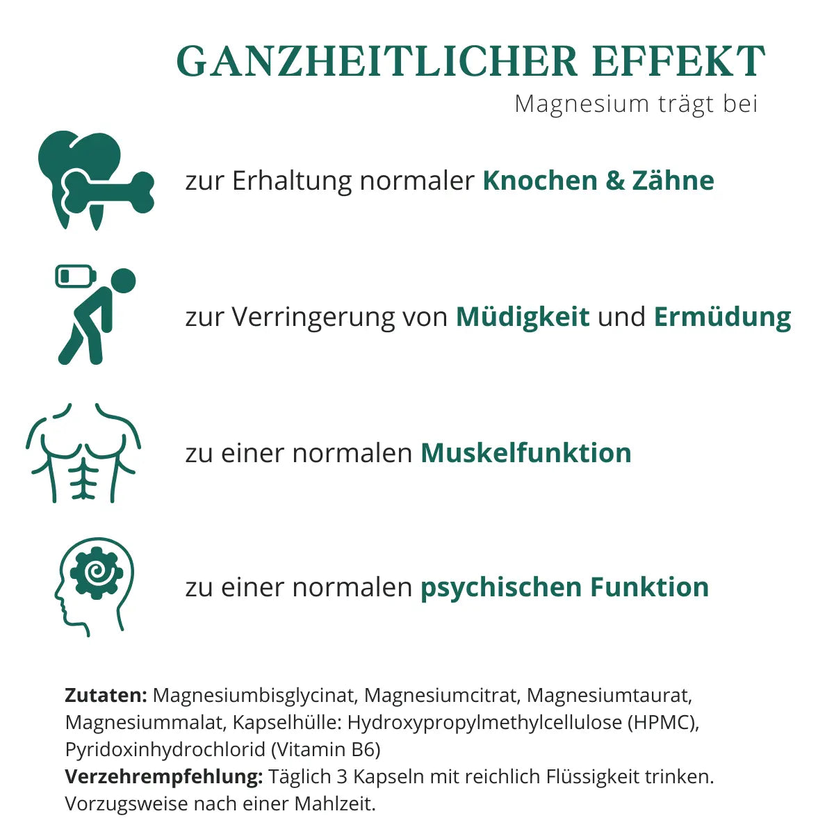 Magnesium trägt zur normalen Muskelfunktion, Nervenfunktion und Energie bei
