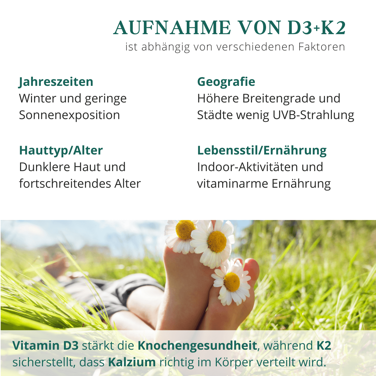 Vitamine D3 + K2 